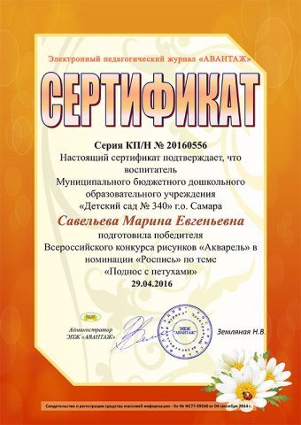 Достижения педагогов 2015-2019